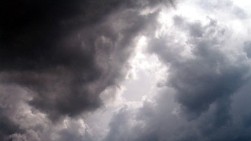 5f2d0d3d-c1e0-4e0c-ab76-22448338c9b9_169