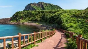 Skandal Pulau Jeju Korsel, 4 Mayat hingga Ratusan Laporan Orang Hilang